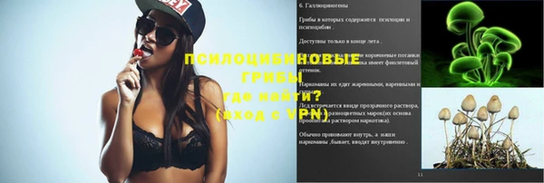 экстази Алексин